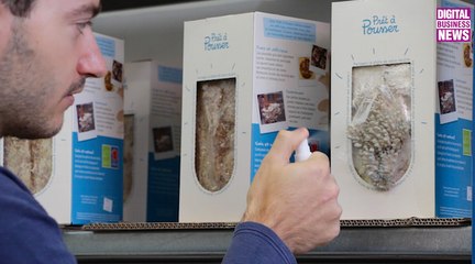 Prêt à Pousser, les kits à champignons et aromates