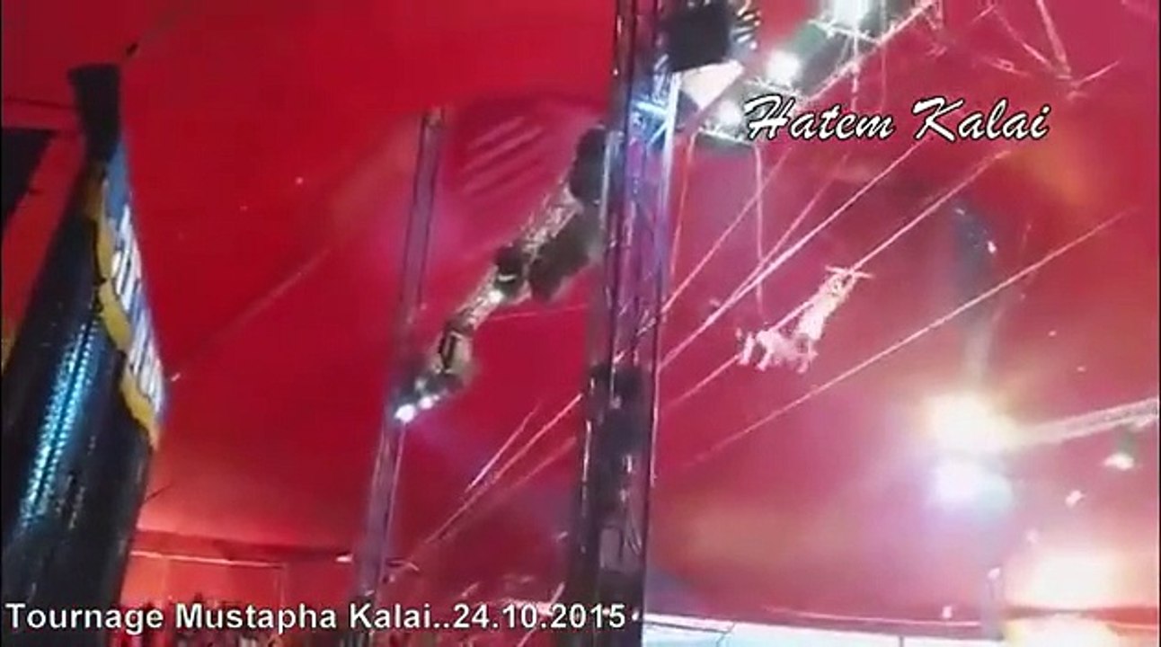 Accident grave au cirque .