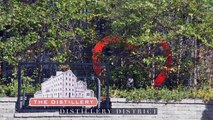 Distillery District Real Estate (Braden White - Chestnut Park Real Estate)