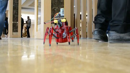 Android Hexbug Spider Kontrol