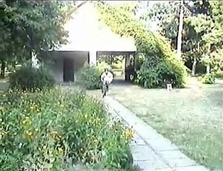 Elma Crime: A Hilarious Horror-Crime Action Parody 🎬