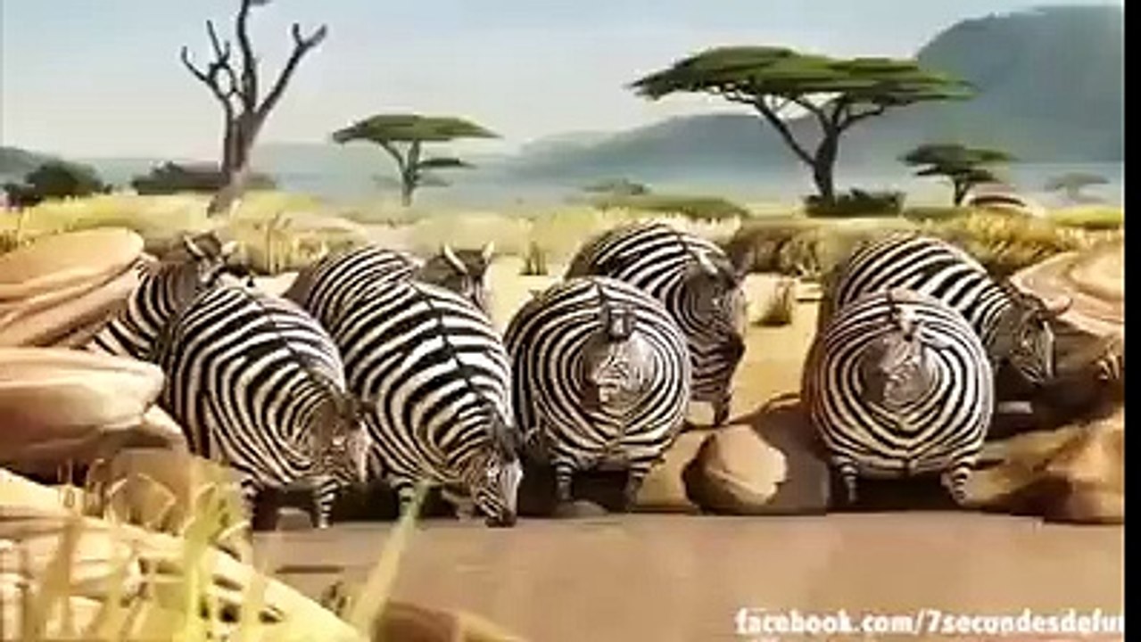 Nature Animal Planet