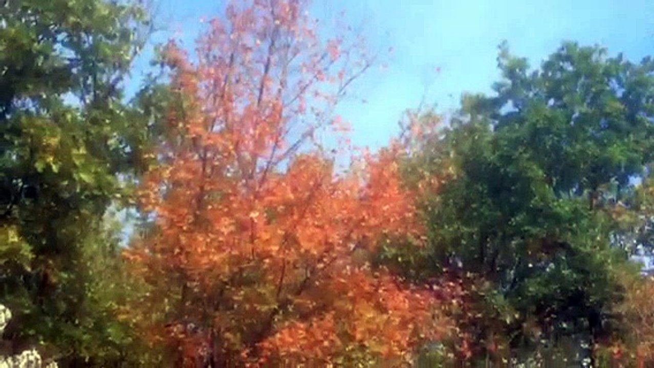 Serres en Languedoc-Rousillon