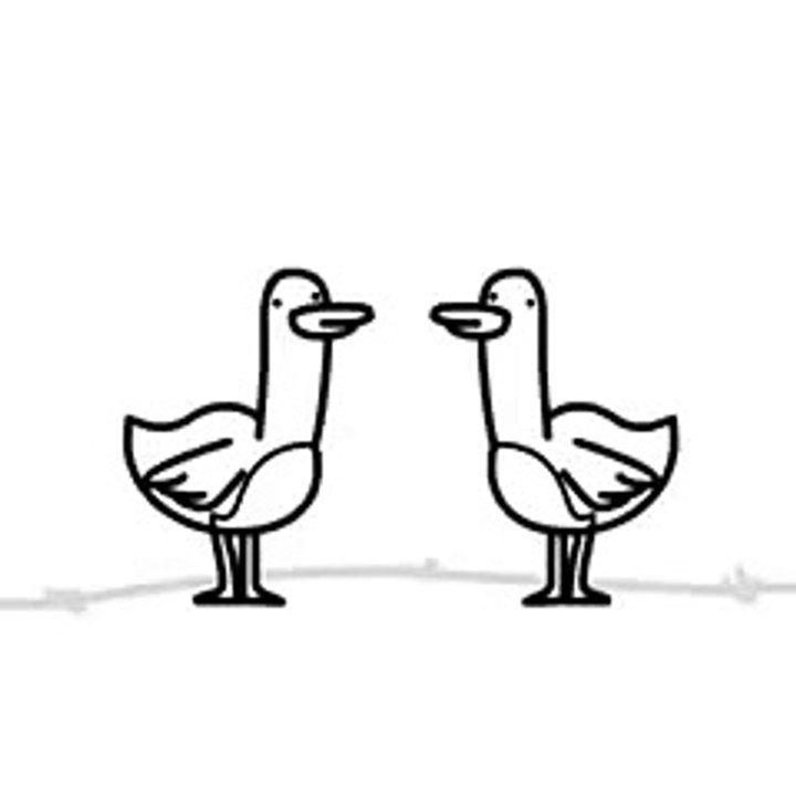 Best Viness Vine- a short film- ducks - By Best Vines Funny Vines - Best Vines