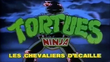 Générique Tortues Ninja saisons 1 à 5 (Les Chevaliers décaille)