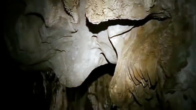 Viennale-Trailer 2010: Empire (by Apichatpong Weerasethakul)