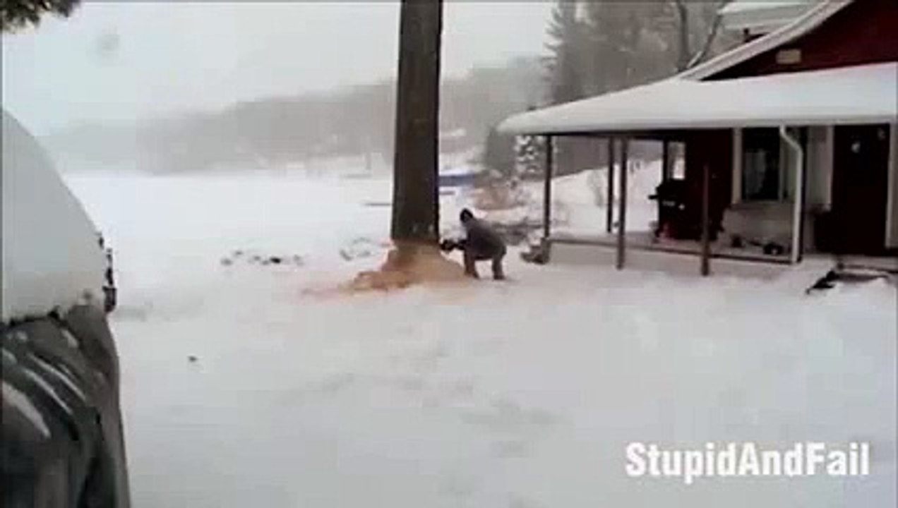 Latest funny videos 5( Cut The Tree From Wrong Side. Tree Falls On The House)