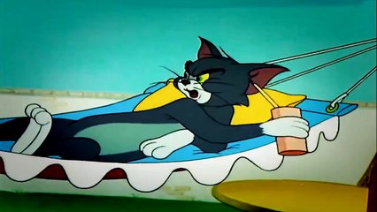 [short film comedy] Cat napping cartoon for kids