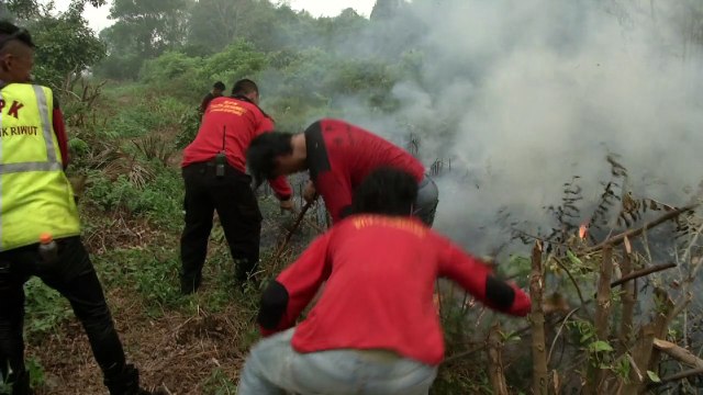 Indonesians take fight against haze into their own hands