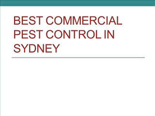 Best Commercial Pest Control in Sydney