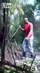 Un Jaguar prend un Homme par Surprise