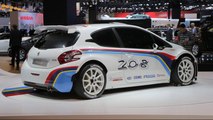 Peugeot 208 R5 Rally Car - 2012 Paris Auto Show