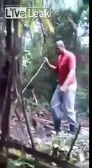 Слабонервным не смотреть!  Ягуар атаковал человека