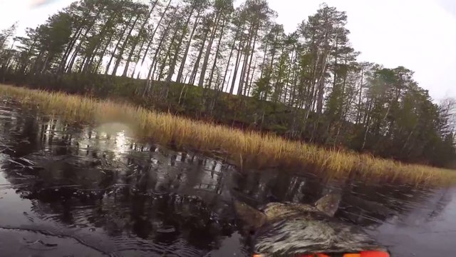 Un chasseur saute dans un lac gelé pour sauver son chien pris dans la glace