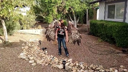 Une paire d'ailes pneumatiques