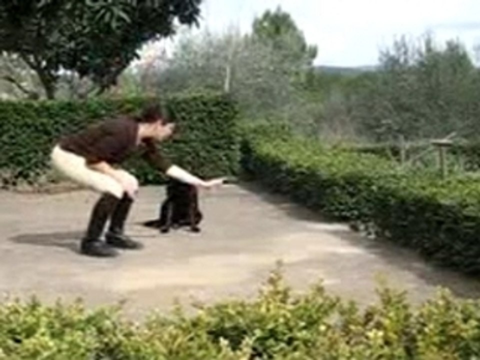 Freestyle printanier