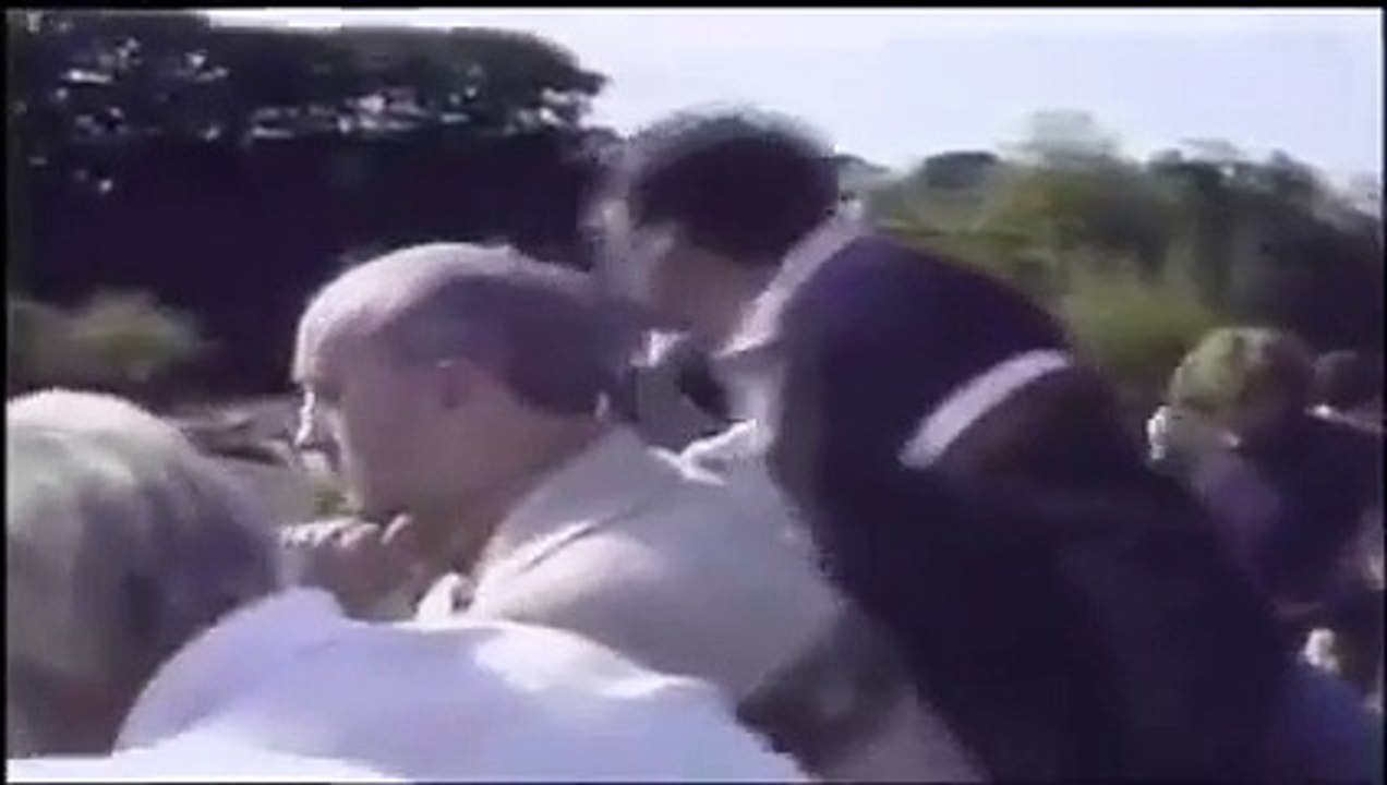 Un enfant tombe dans l'enclos à gorilles dans un zoo... Réaction magique du gorille