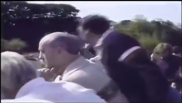 Kid felt in Gorillas' enclosure in a zoo... Amazing reaction of the Alpha gorilla