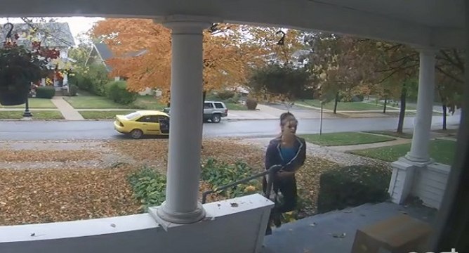 Elle s'arrête pour voler un colis Fedex