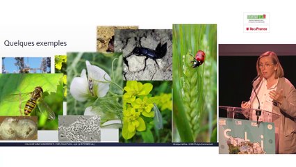 Véronique SARTHOU - L'intérêt de préserver la biodiversité fonctionnelle en agriculture