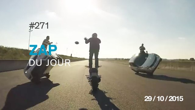 ZAP DU JOUR #271 : Bien visé ! / Stella le labrador qui adore les feuilles / Aladin des temps modernes / #IMPACT /