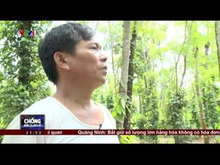 CHỐNG BUÔN LẬU, HÀNG GIẢ - 27/10/2015