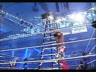 WWF WWE Wrestlemania 23 Jeff Hardy Insan