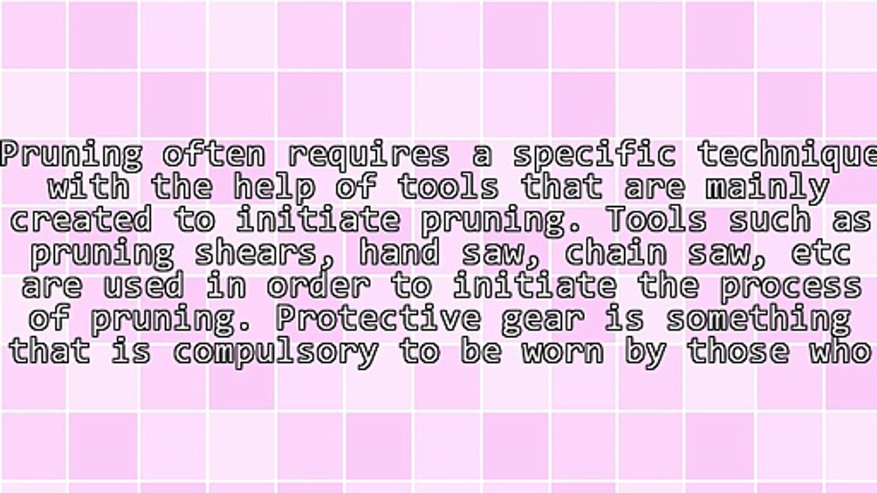 Ways to Prune and Harvest Olives