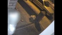 CCTV of terrifying doorstep attack on woman in Clapham