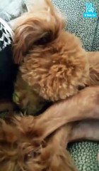 [151029] Junjin's 21st Broadcast