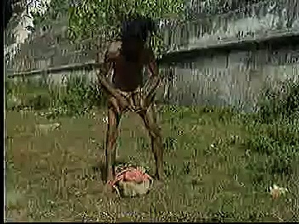 o pixa maniavel