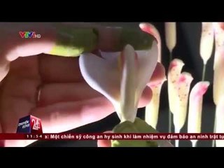 CHUYỂN ĐỘNG 24H: TRẢI NGHIỆM LÀM HOA ĐẤT (29/01/2015)