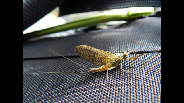 Lac de la Mourèle et Det-Mail