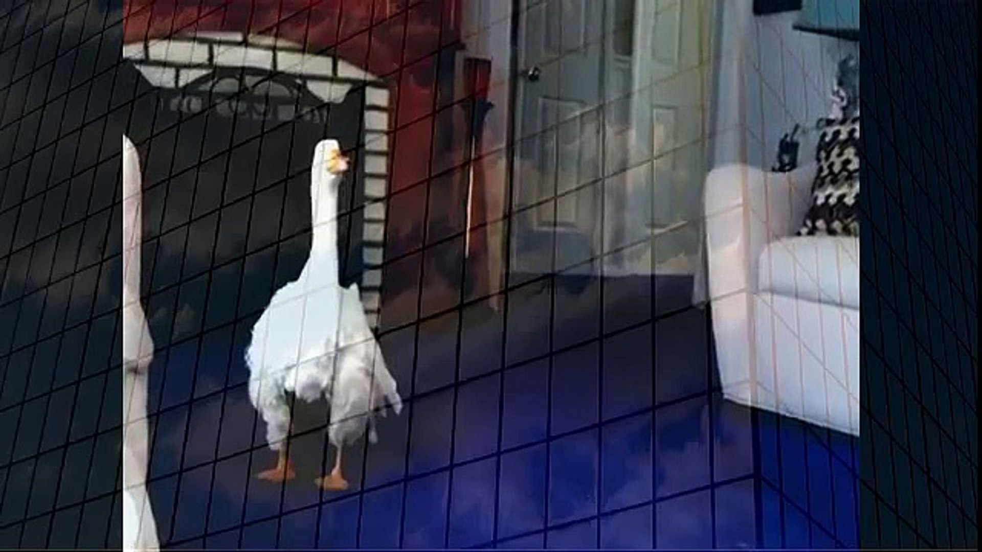⁣PET GOOSE WATCHING TV when animals attack