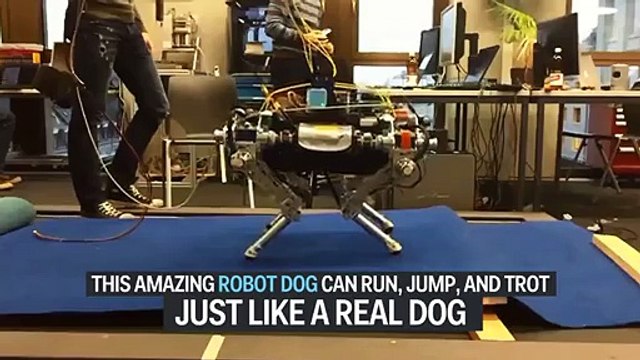 This amazing robot dog can run, jump, and trot just like a real dog