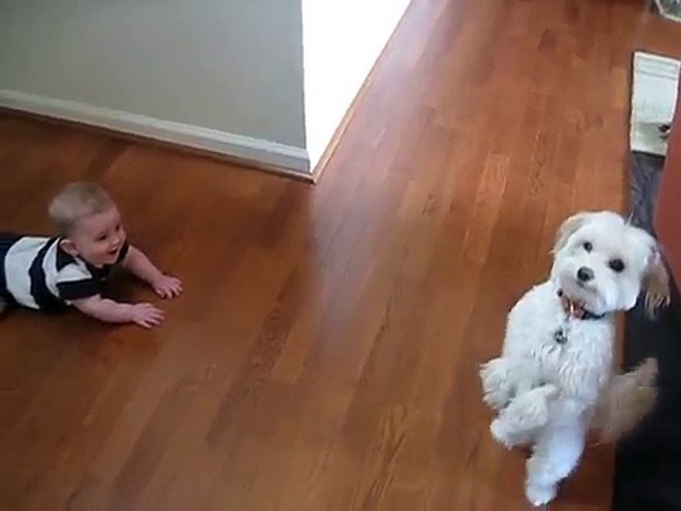 Dancing Dog Laughing Baby - Sweet Babies