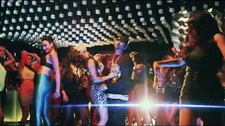 Chaar Botal Vodka Official HD Video Song Download - Yo Yo Honey Singh Sunny Leone