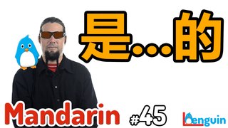 Learn Mandarin Chinese - Past Details   (Shi...de construction) (Lesson 45)