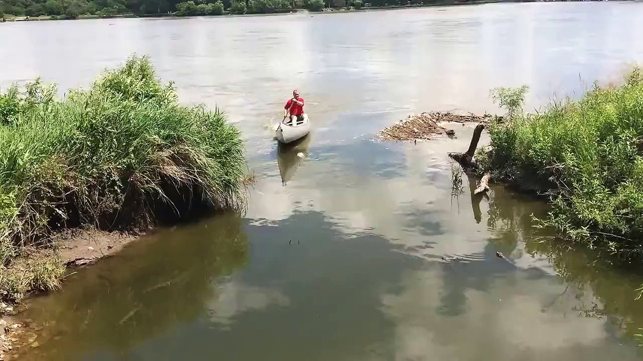 Paddling a Canoe Through a Carp Infested River