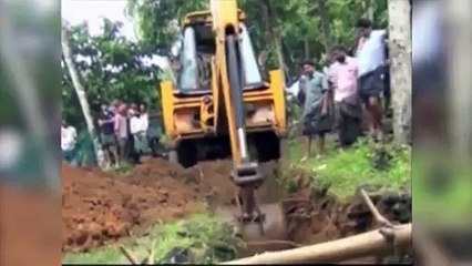 Cet éléphanteau était entrain de se noyer mais leur générosité va payer !