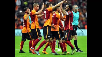 Aslan dört köşe !