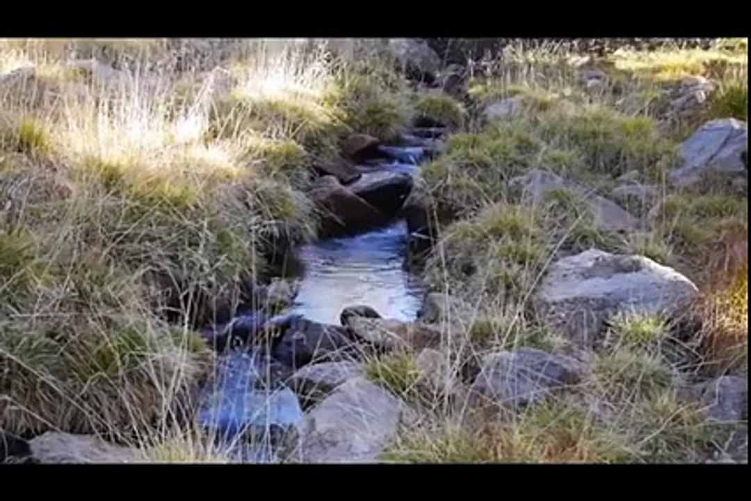 pashto naat.    da Bilal meena   by shahab tareen 03342831021