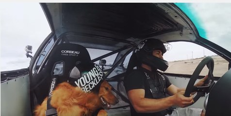 Drift Dog Loves Race Car Rides