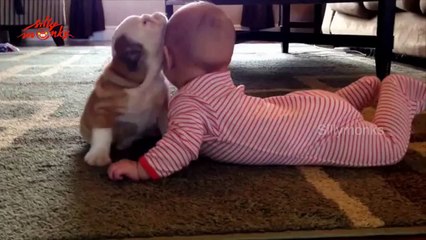 Cute Baby And Pup Video - Sweet Babies