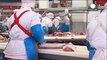 Processed meats cause cancer, says WHO