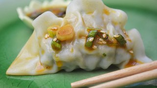 Shrimp Dumplings with Hot Chili Sesame Oil Dressing