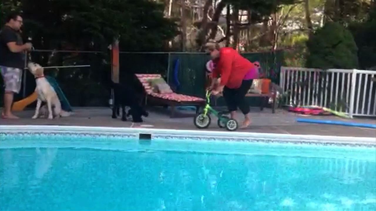 This Is Why Tricycles Have A Weight Limit video Dailymotion