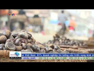 Hạt dẻ Trung Quốc trộn lẫn hạt dẻ Trùng Khánh