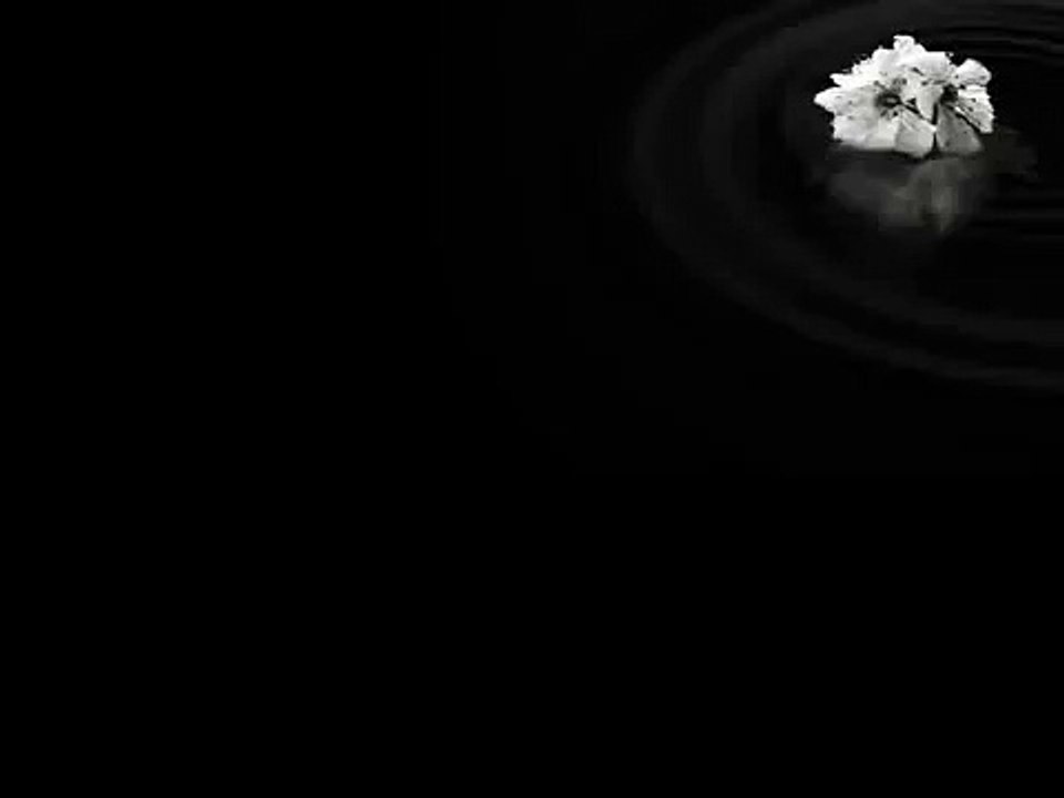 kaisay-guzar-gai-jawani-na-poochhye- by Amanat-Ali-Khan