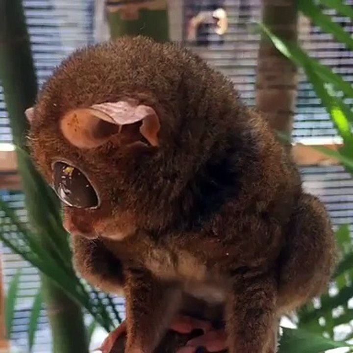What the hell are you looking at lol